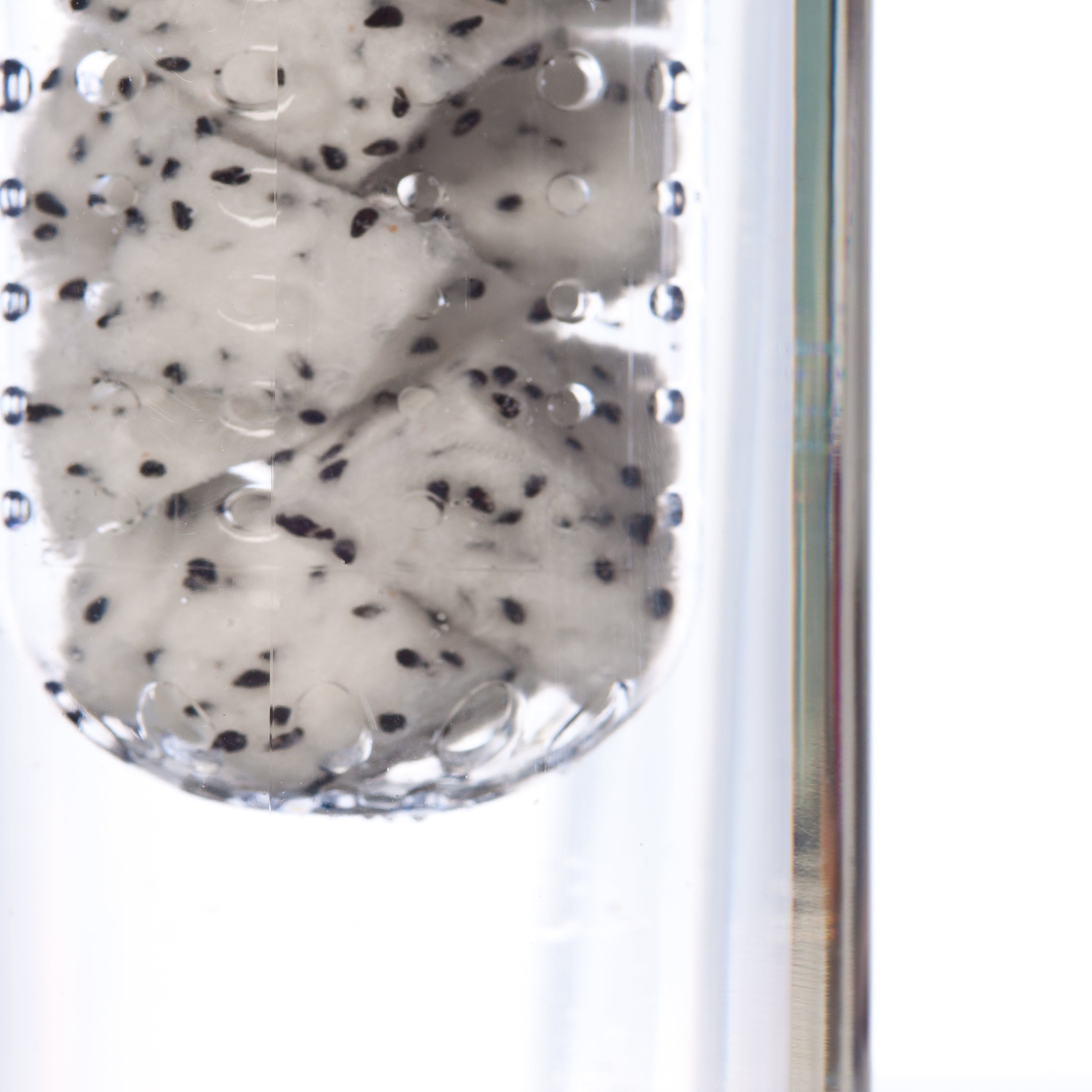 Fruit Infuser Water Bottle