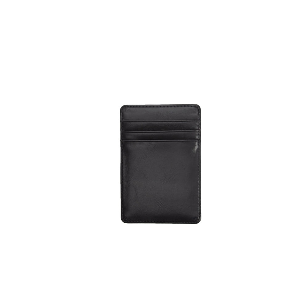 Asher Magnetic Money Clip Card Case